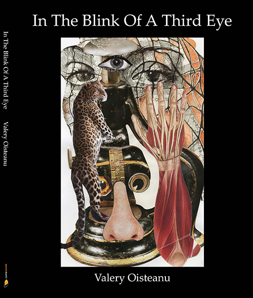 Front Cover: In The Blink Of A Third Eye